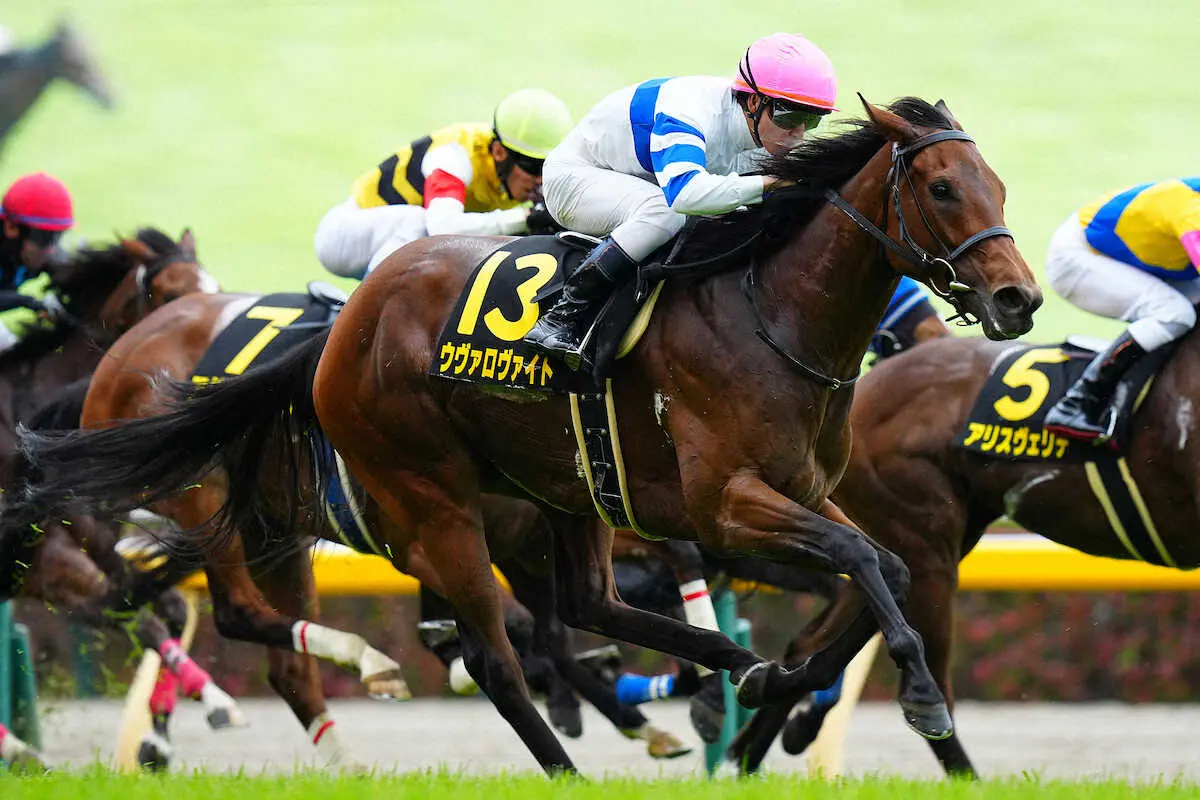 ＜東京11R　スイートピーS＞レースを制した菅原明騎乗のウヴァロヴァイト（撮影・河野　光希）