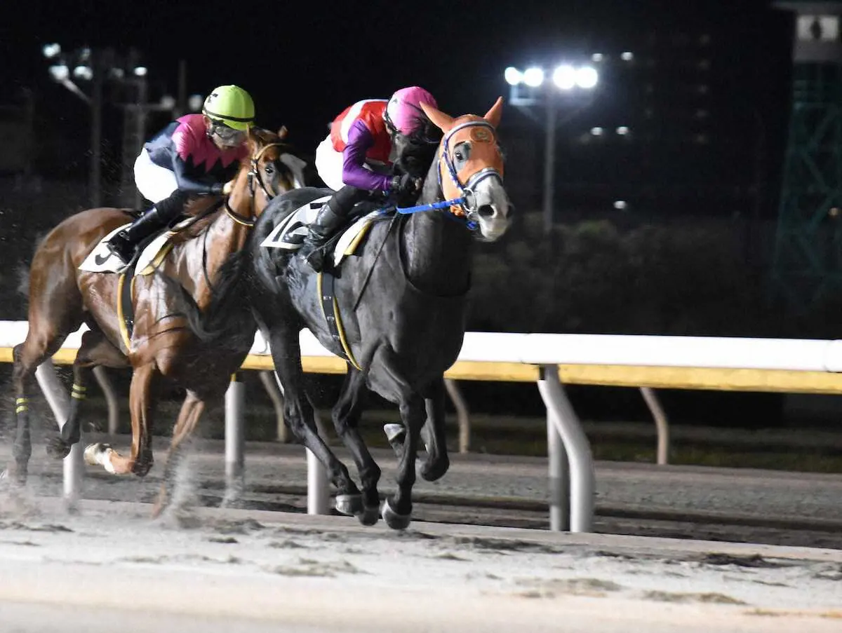 連勝の勢いに乗って重賞制覇を狙うスタードラマー