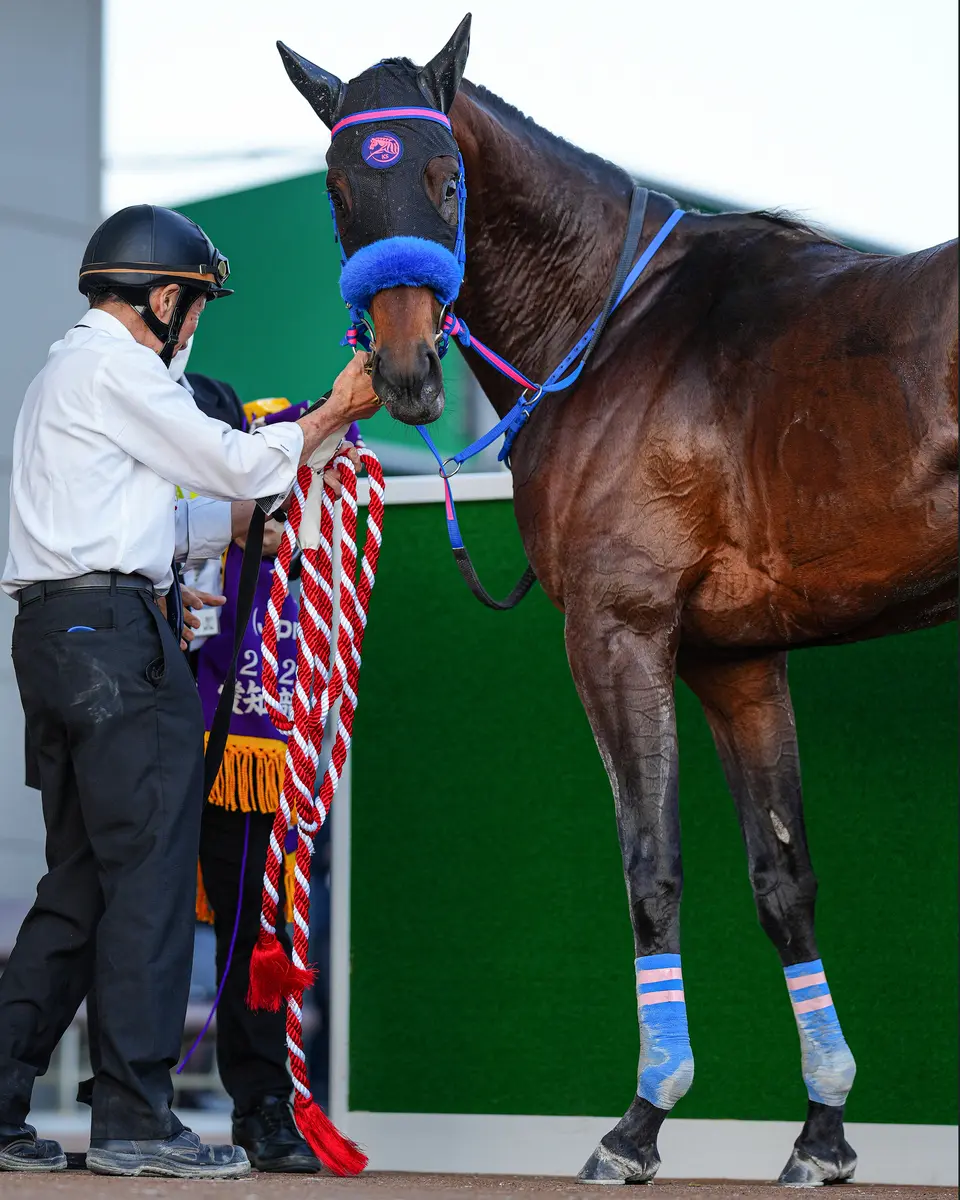 かきつばた記念を終えた後、勝ったウィルソンテソーロに「僕のことは撮っていなかったの！？」と言われた気がした（撮影・河野　光希）