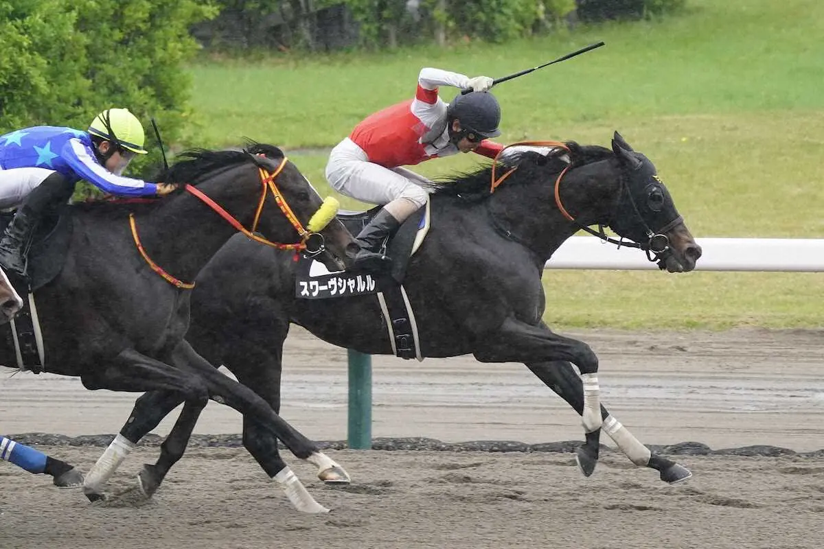 ＜越後S＞レースを制した北村友騎乗のスワーヴシャルル（撮影・河野　光希）