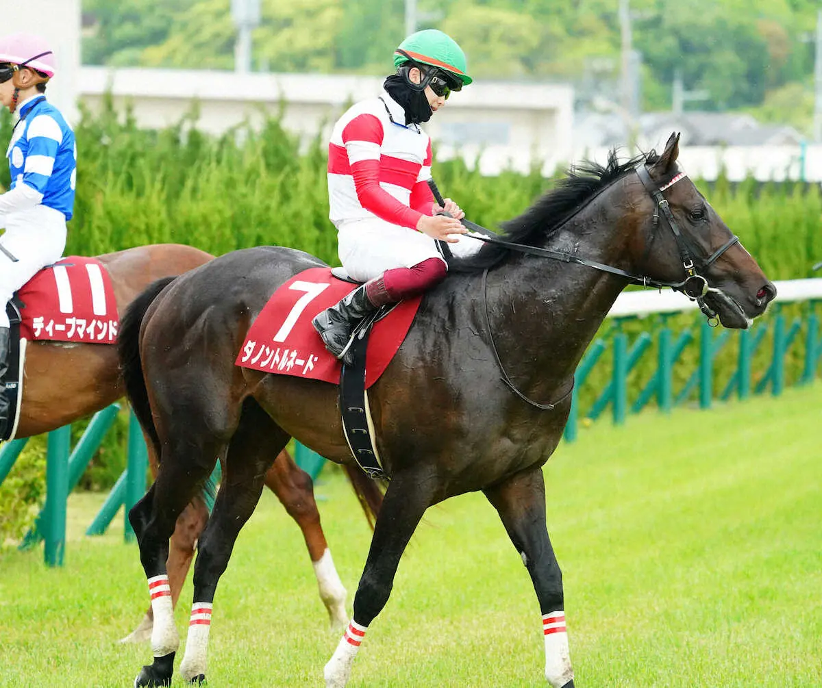 ＜京都新聞杯＞クビ差で敗れたダノントルネード（撮影・井垣　忠夫）