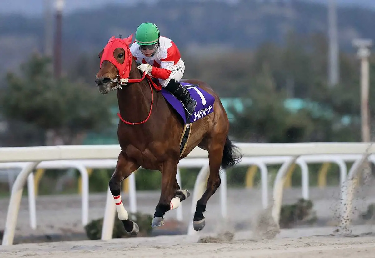 牡馬の強豪相手でも力は見劣らないゴールデンヒーラー（岩手県競馬組合提供）