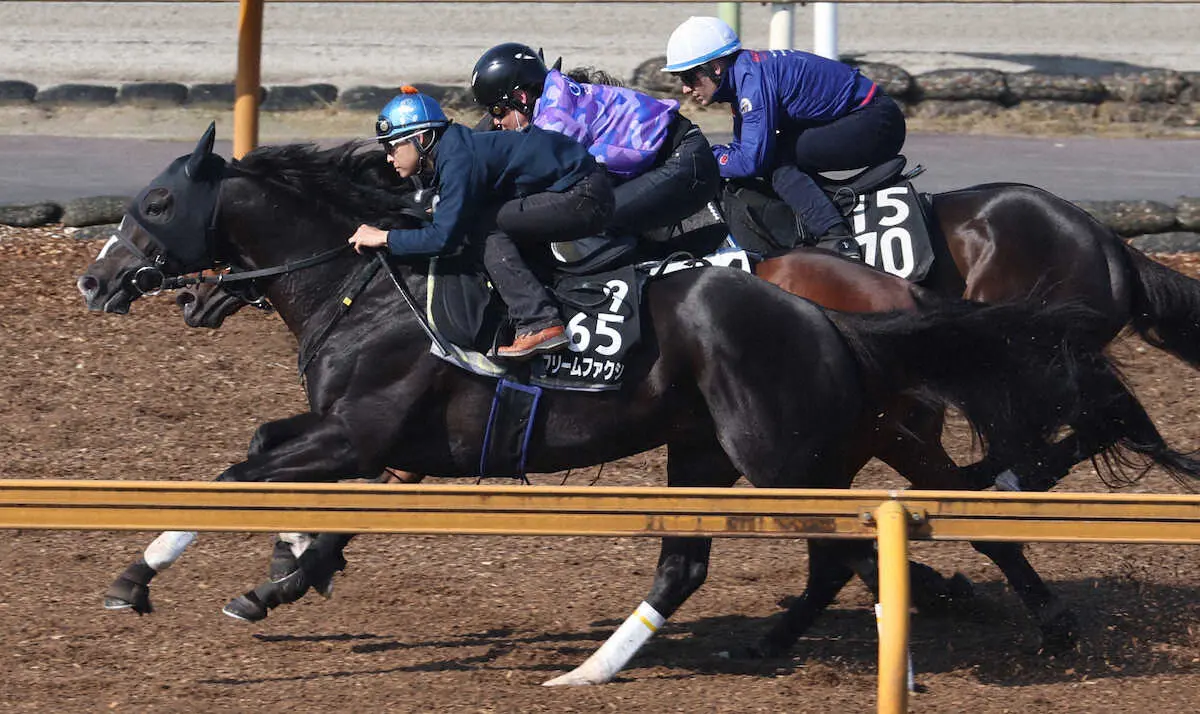 10日、吉田隼人騎手を背に追い切るフリームファクシ（撮影・亀井　直樹）　