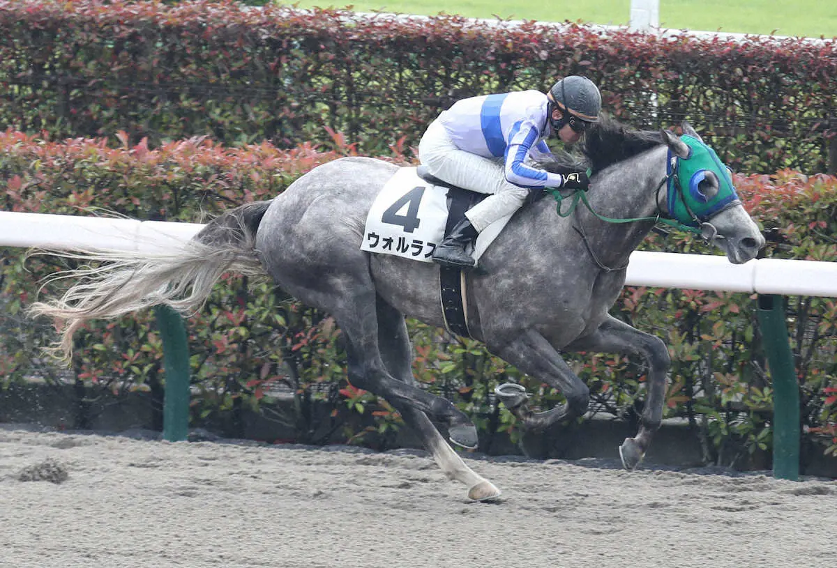 ＜東京3R＞ウォルラスでJRA通算999勝とした三浦（撮影・村上　大輔）
