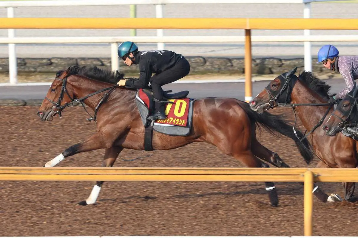 川田将雅騎乗のリバティアイランド（左）は、軽く仕掛けただけで併せ馬にアッサリと先着する