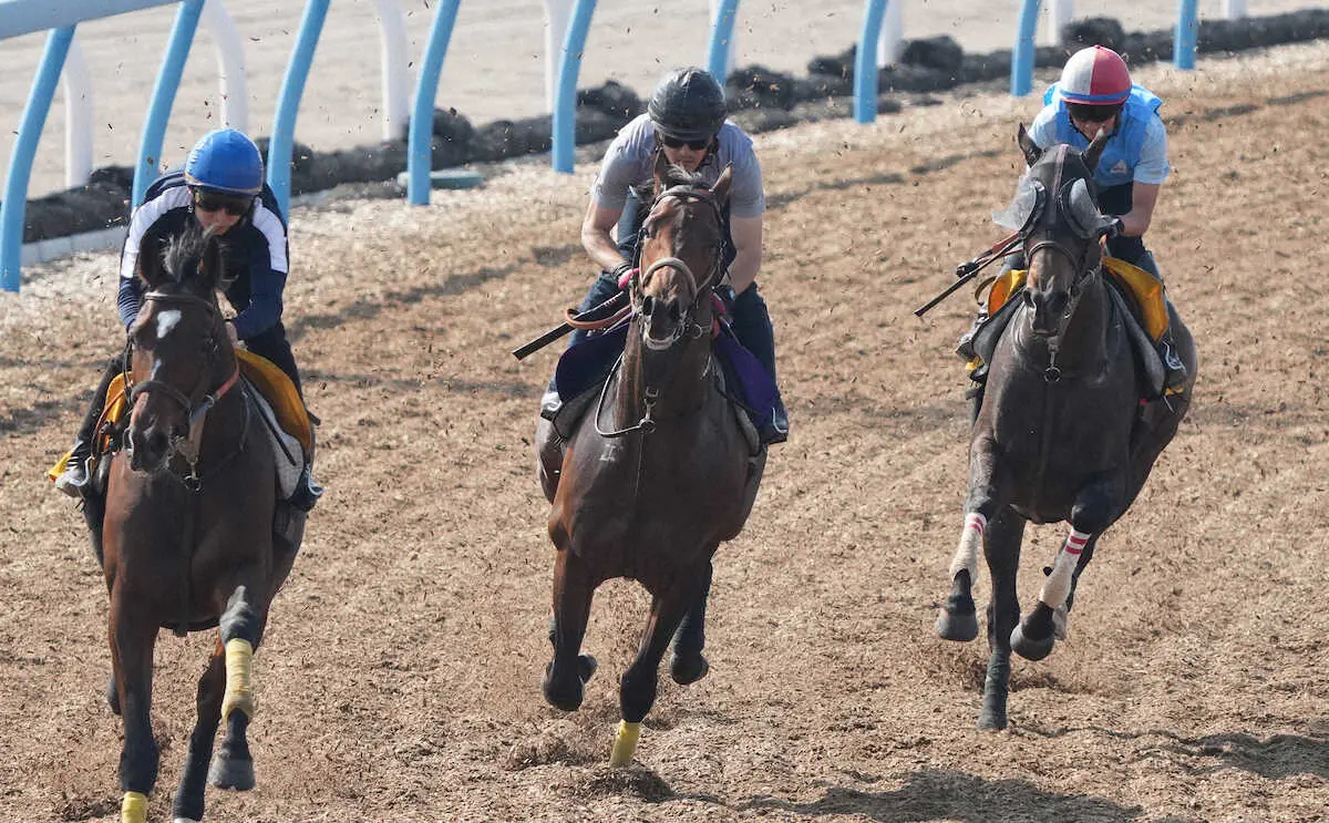 ＜日本ダービー1週前追い切り＞3頭併せで追い切るハーツコンチェルト（中）＝撮影・郡司　修