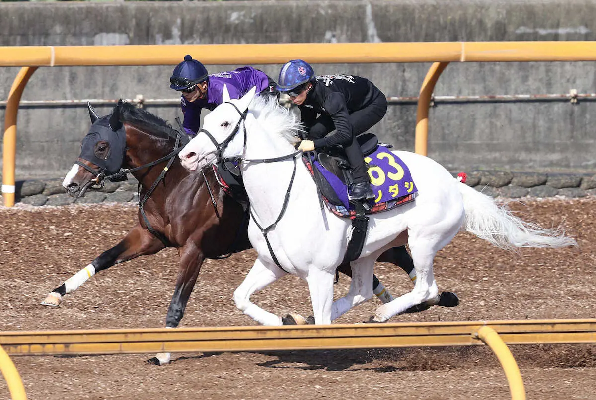 ＜安田記念1週前＞CWコース併せ馬で追い切る坂井瑠星騎乗のドルチェモア（左）と川田将雅騎乗のソダシ