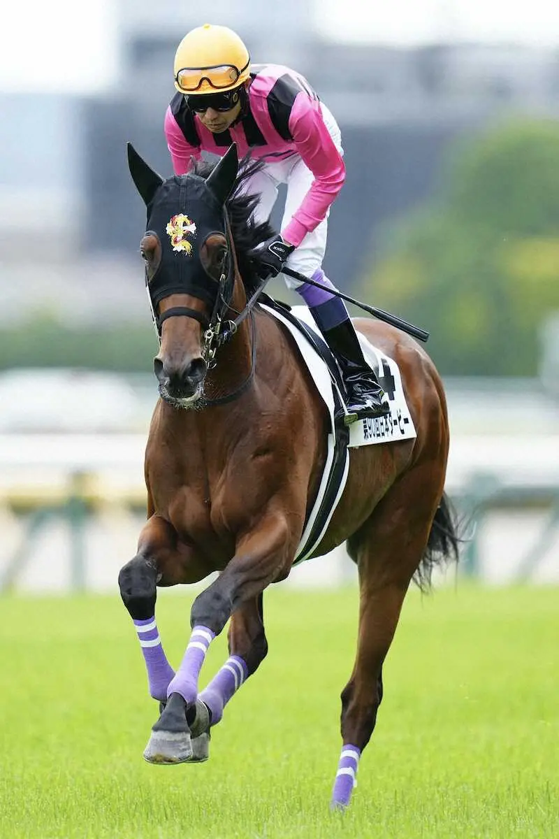 ＜日本ダービー＞返し馬に臨む武豊騎乗のファントムシーフ（撮影・河野　光希）