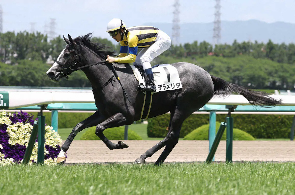 ＜阪神5R2歳新馬＞直線で抜け出し勝利するテラメリタ　（撮影・亀井　直樹）　