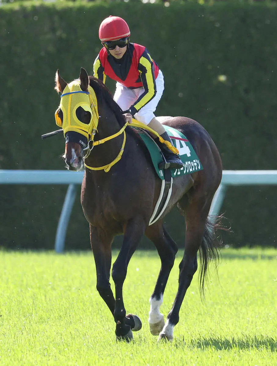 ＜鳴尾記念＞2着のフェーングロッテン（撮影・亀井　直樹）　