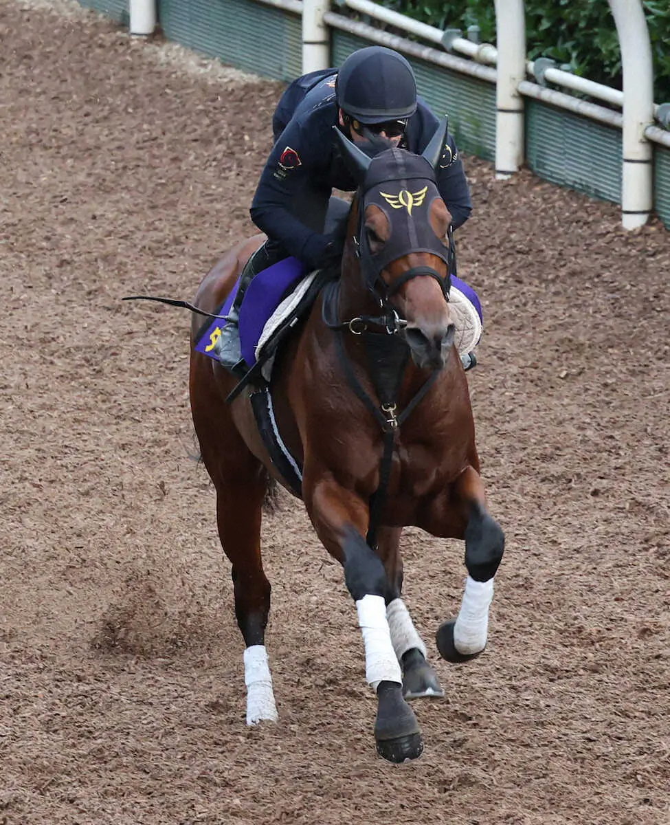 坂路で追い切るダノンザキッド（撮影・亀井直樹）
