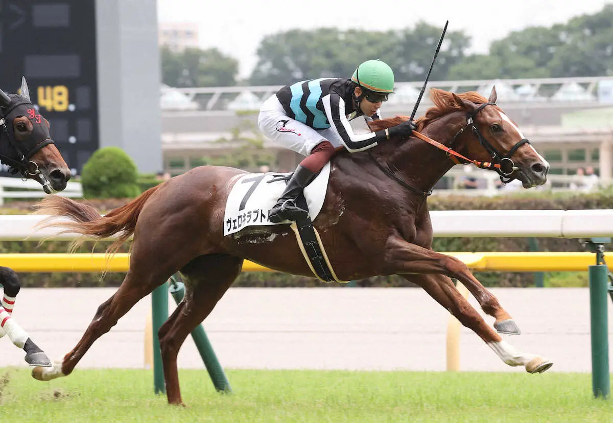 ＜東京5R・メイクデビュー東京＞新馬戦を制したヴェロキラプトルと三浦（撮影・村上　大輔）