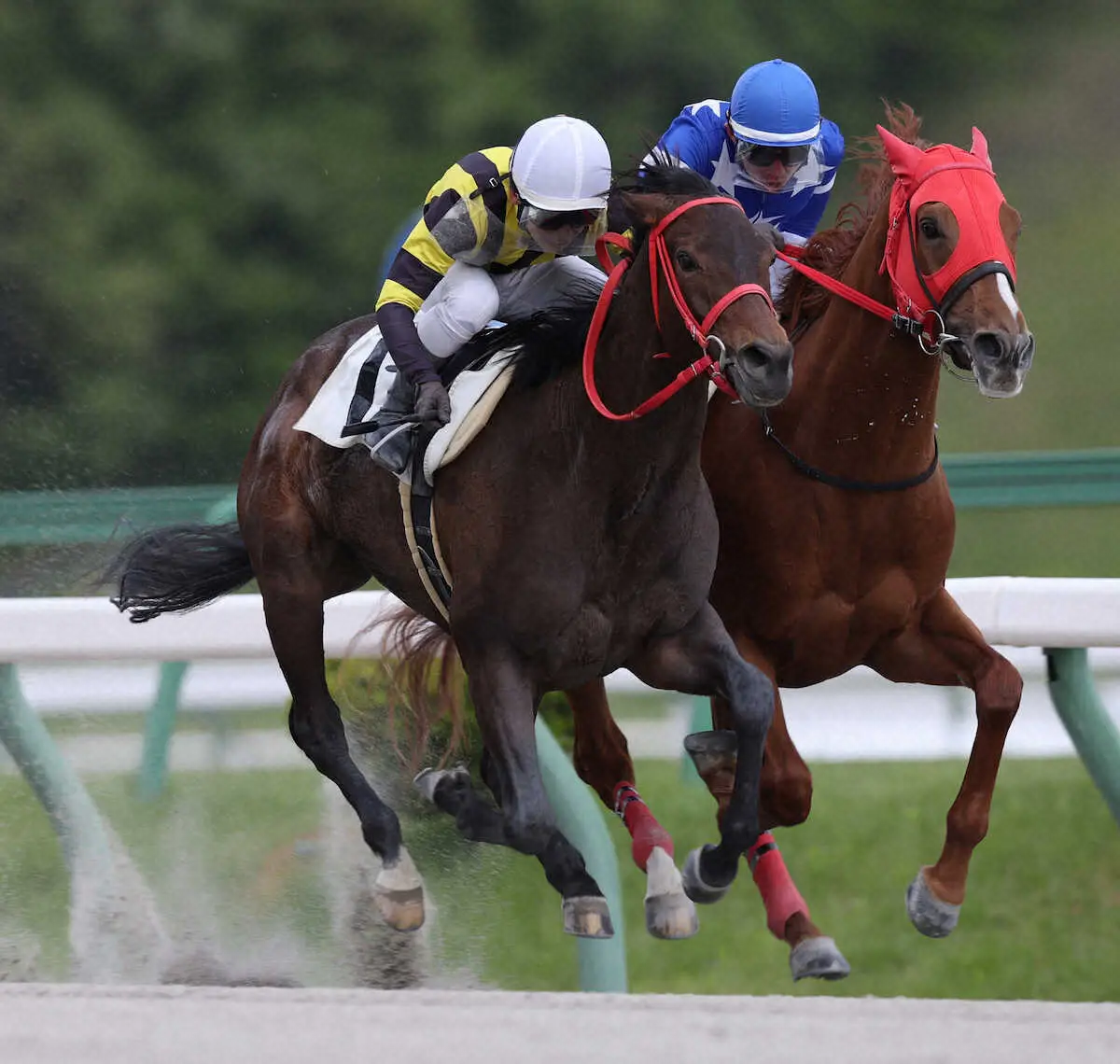得意の盛岡コースでユウユウレラシオン（左）が躍動する※岩手県競馬組合提供