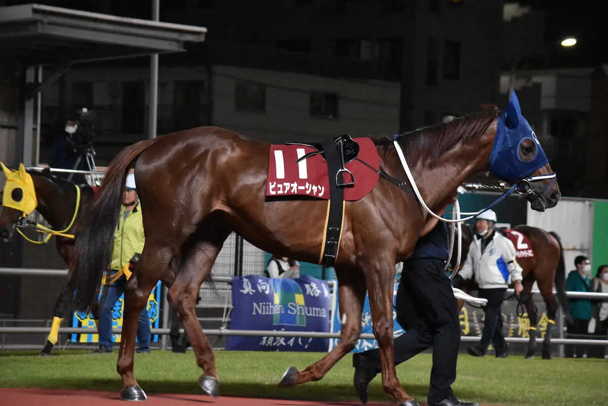 連勝を狙うピュアオーシャン