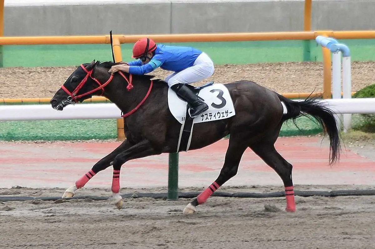 ダートの新馬戦を制したナスティウエザー（撮影・千葉茂）