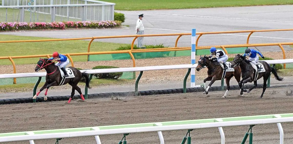 ＜函館6R＞ナスティウェザー（左）が勝利（撮影・千葉茂）