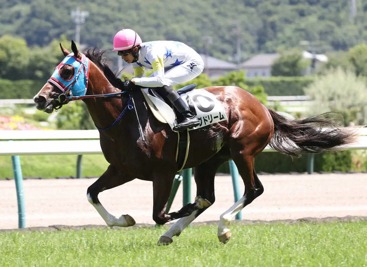 ＜福島6R・メイクデビュー福島＞新馬戦を制したビッグドリーム（撮影・村上　大輔）