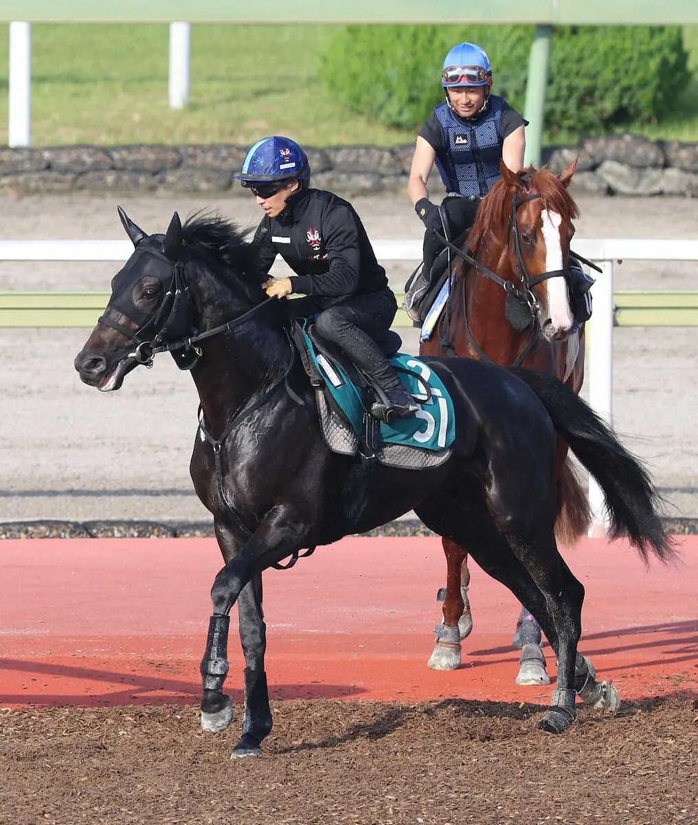 川田将雅を背に馬場入りするラケダイモーン
