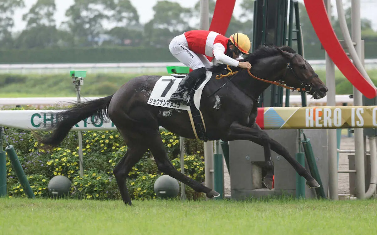 ＜中京6R新馬＞　後続を振り切り勝利するショウナンマヌエラ　（撮影・亀井　直樹）