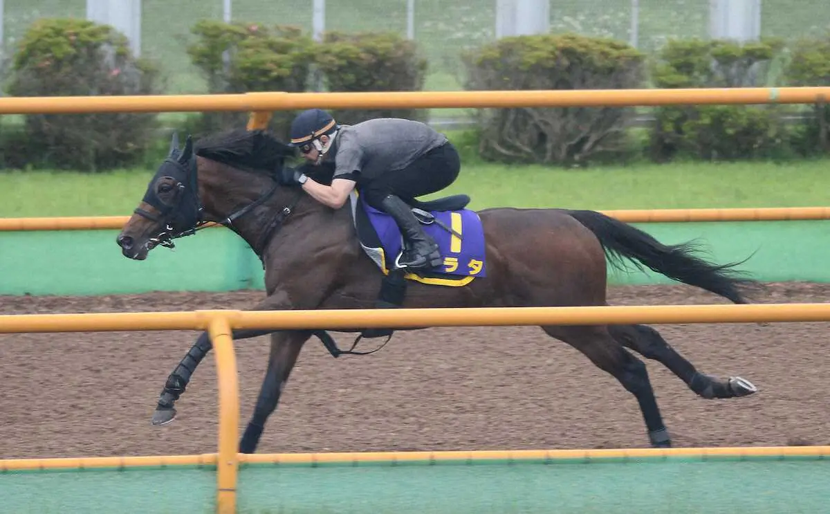 Wコースで追い切ったアラタ（撮影・千葉茂）