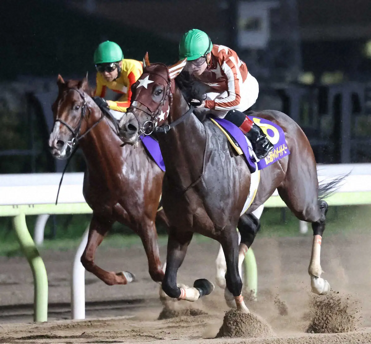 ＜ジャパンダートダービー＞武豊騎乗のミトノオー（左）は3着（撮影・村上　大輔）