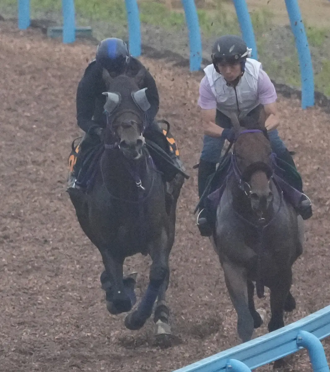 シーウィザード（左）と併せ馬を行ったフォローウィンド（撮影・郡司　修）
