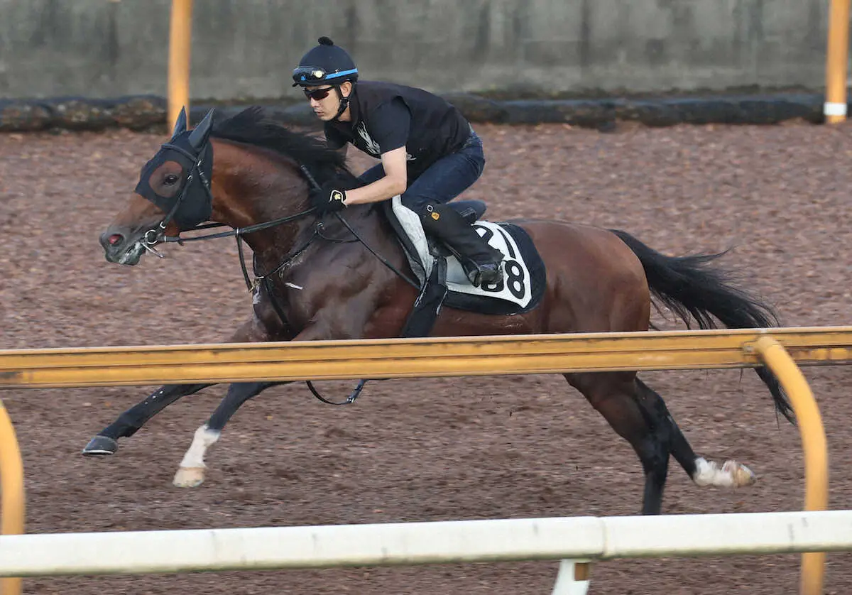 CWコースで追い切るメイショウシンタケ（撮影・亀井直樹）