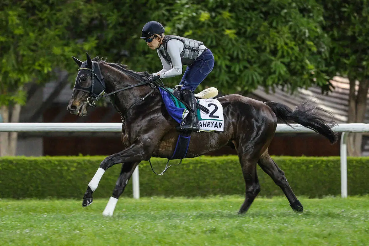 シャフリヤール　(C)Dubai　Racing　Club