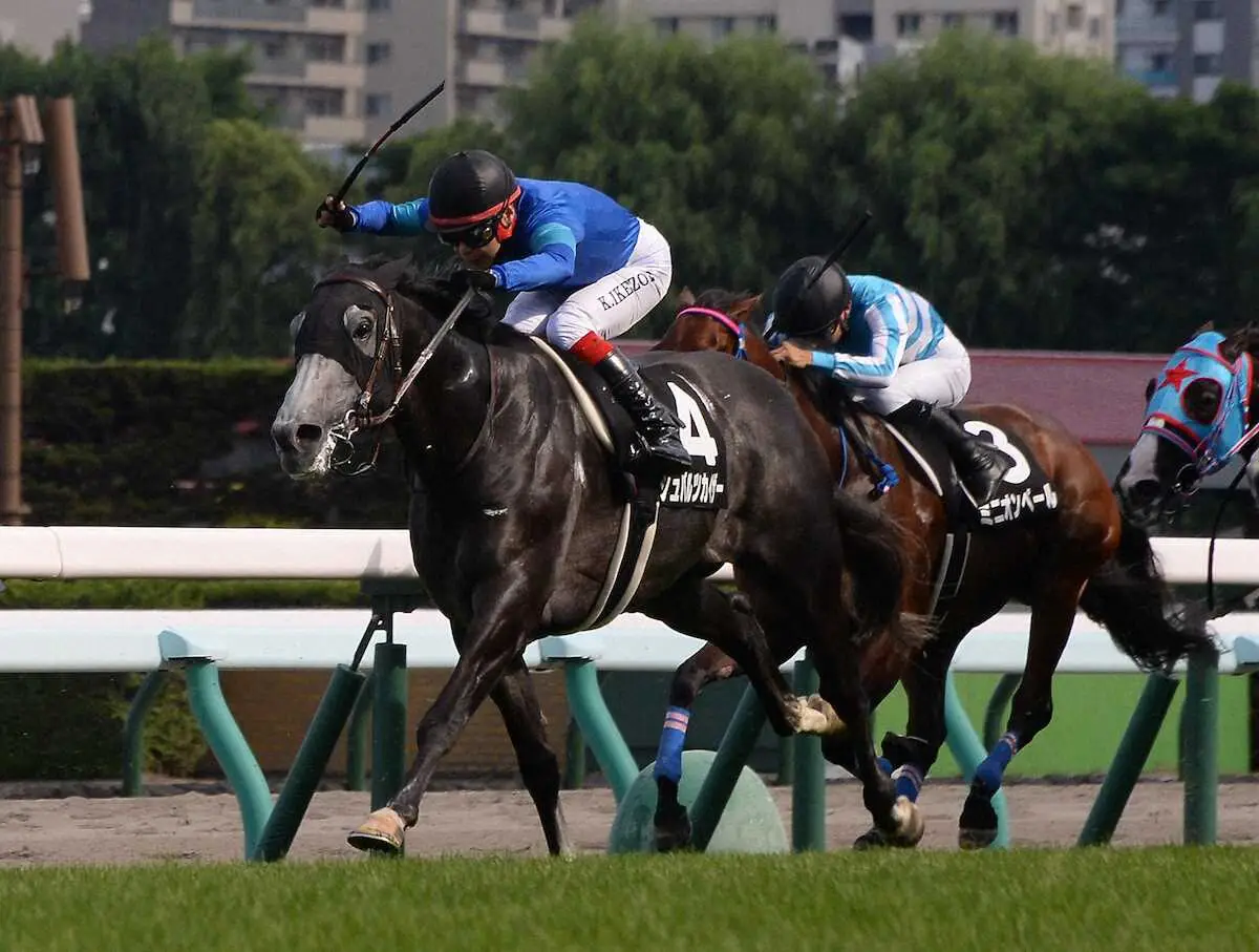 ＜札幌11R・しらかばS＞見事勝ち切ったシュバルツカイザー（撮影・千葉茂）