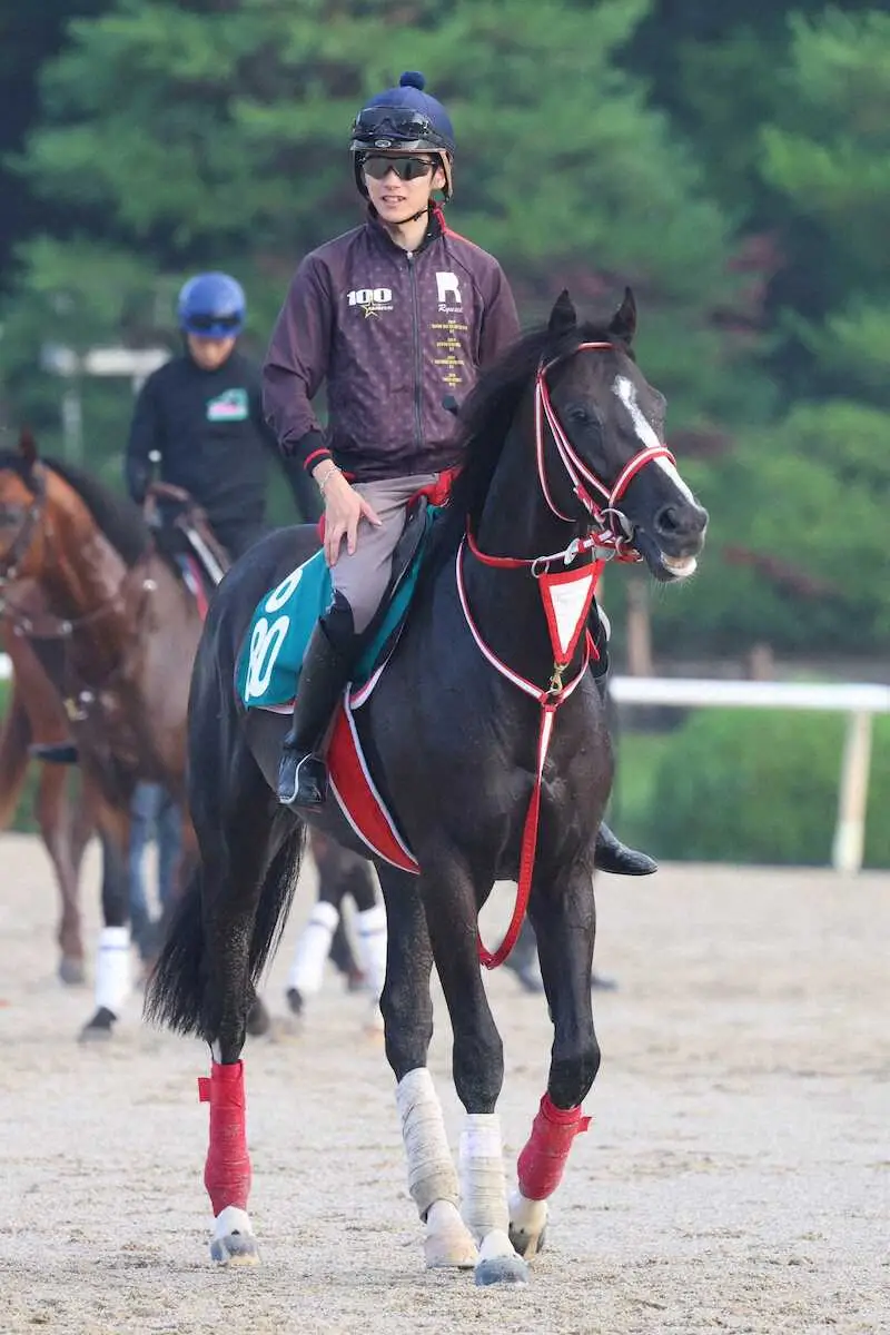 セレクトセールでの高額落札馬、ホウオウプロサンゲ