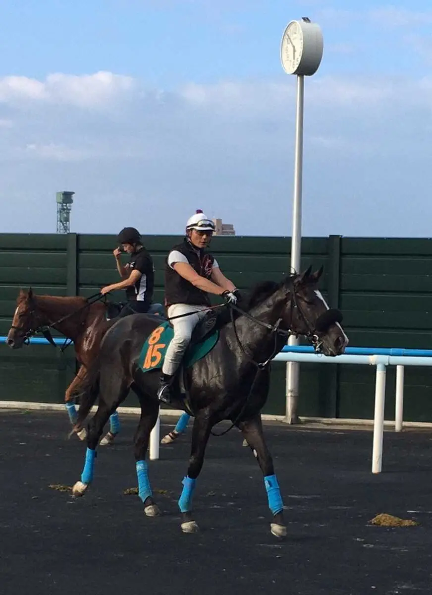 オジュウチョウサンの半妹スターチョウサン（牝2＝小島）は函館競馬場で調整中