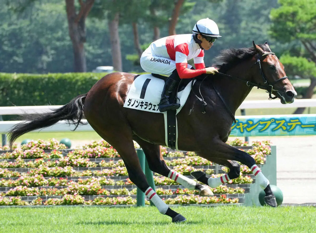 ＜新潟5R・新馬戦＞着差以上に楽な勝ちっぷりだったダノンキラウェア（撮影・郡司　修）