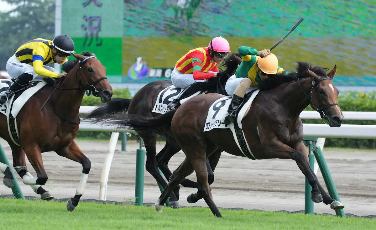 新馬戦を制したロアノークテソーロ（右）（撮影・郡司修）