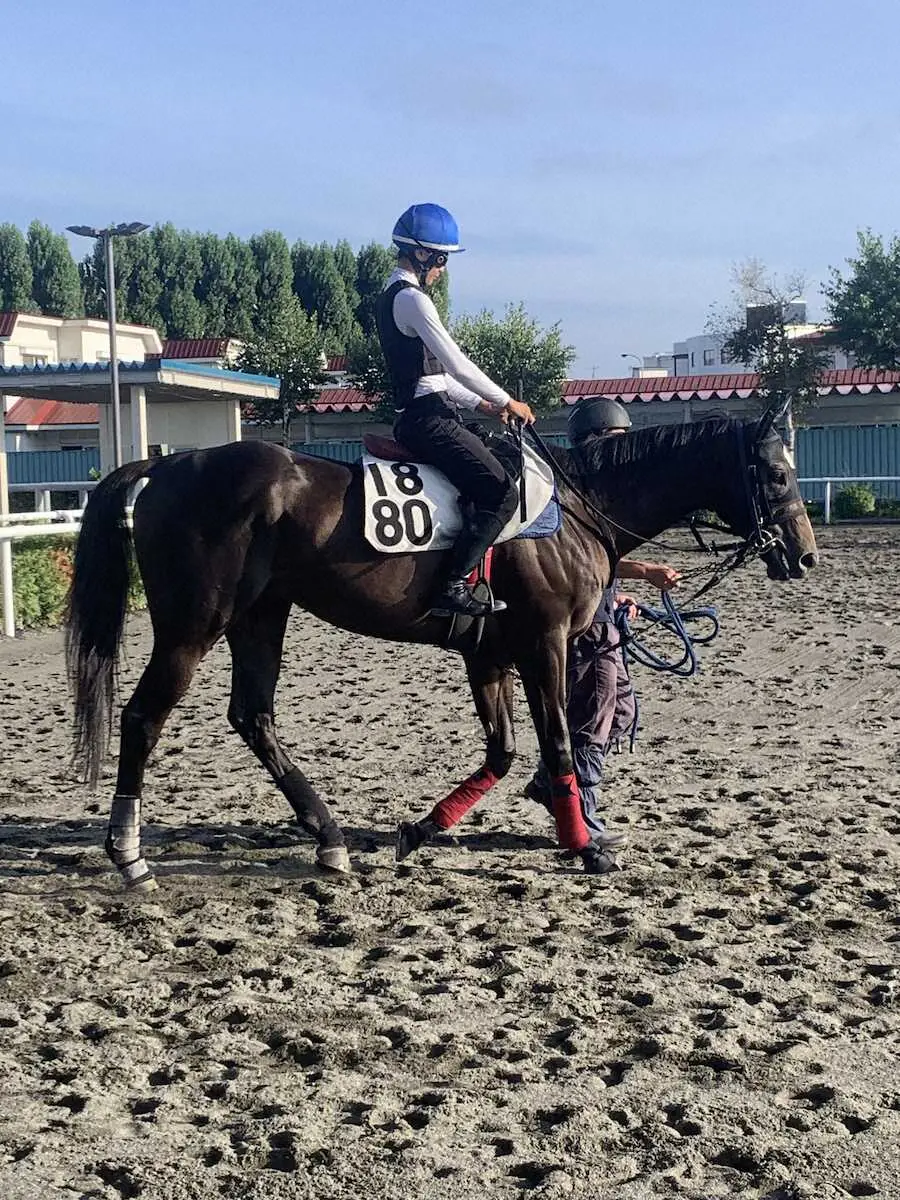 札幌競馬場で調整するペプチドナイル