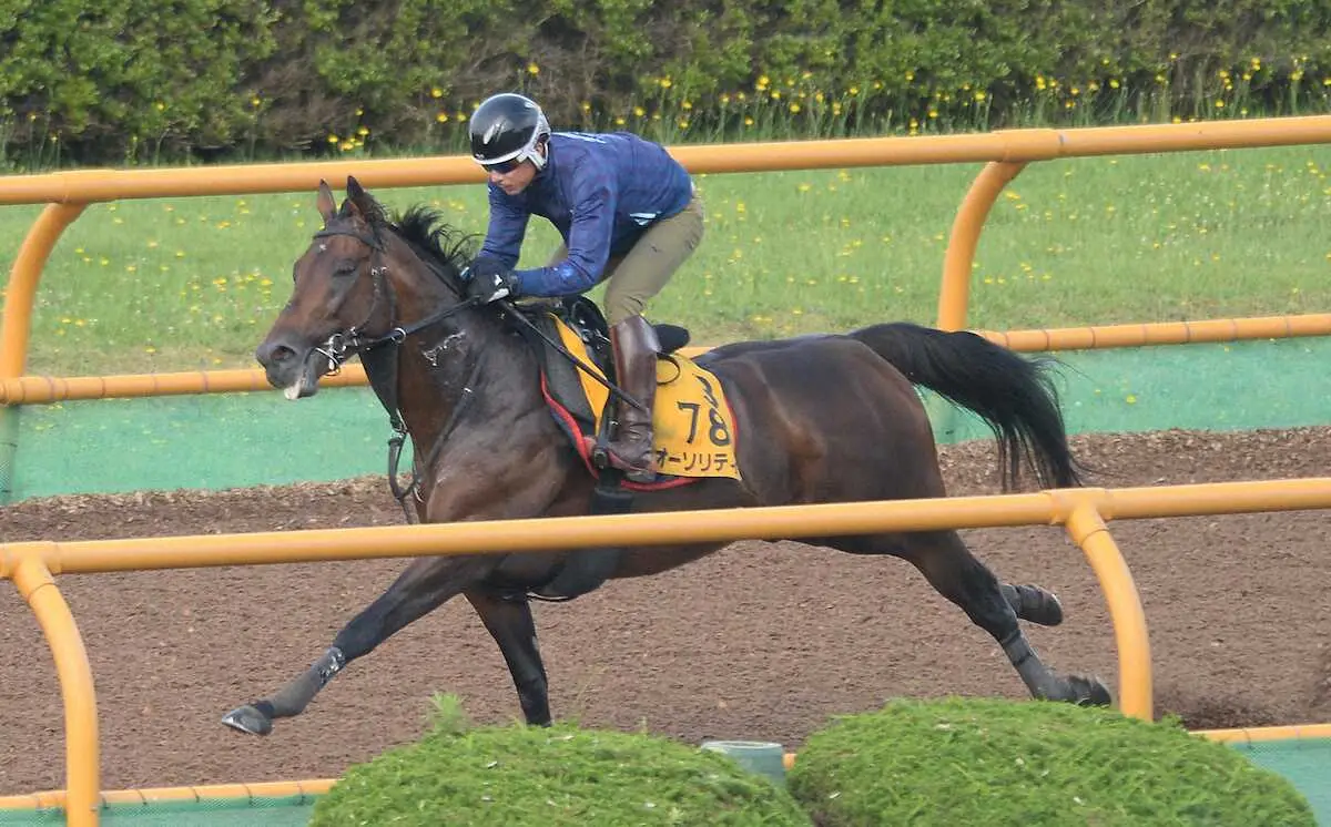 函館ウッドコースを単走で追い切ったオーソリティ（撮影・千葉茂）