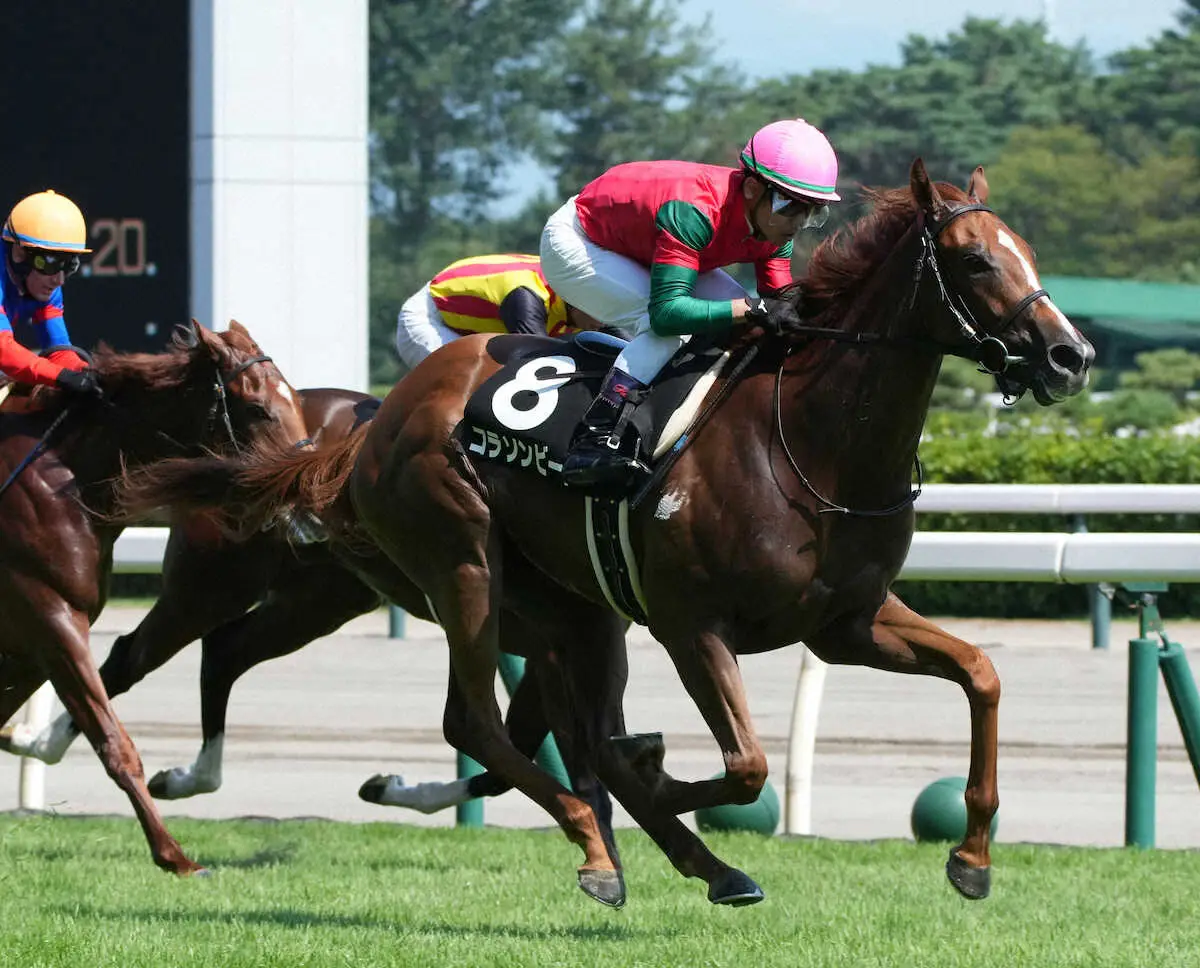＜新潟8R・ダリア賞＞差し切って連勝のコラソンビート（撮影・郡司　修）
