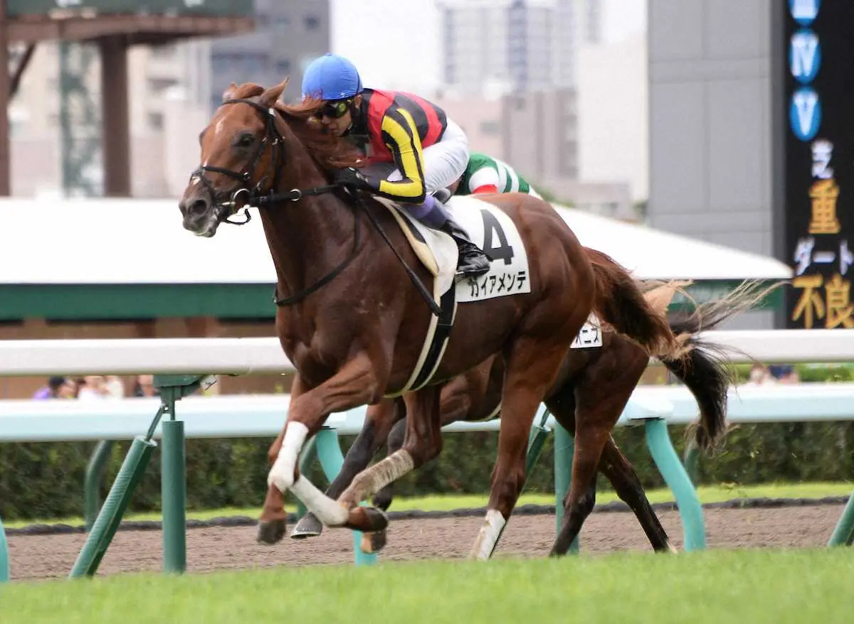 武豊も高評価のガイアメンテ
