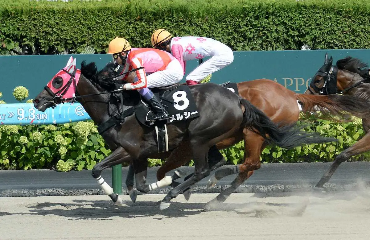 ＜おおぞら特別＞武豊が騎乗したメルシーが勝利（撮影・千葉　茂）