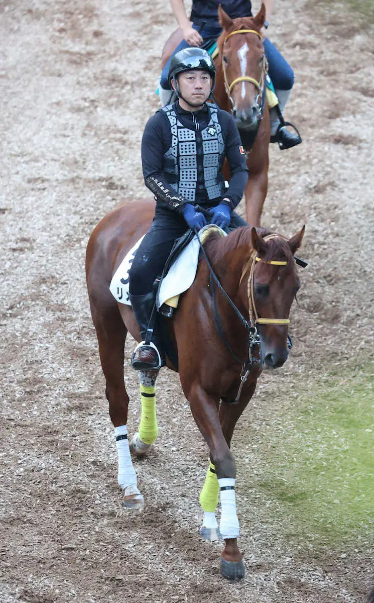 重賞2勝目を狙うリメイク