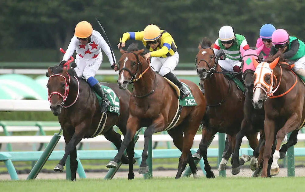 22年9月の「京成杯AH」で叩き合いを制し、重賞初制覇を飾った吉田隼騎乗のファルコニア＝左から2頭目、左は2着のミッキーブリランテ