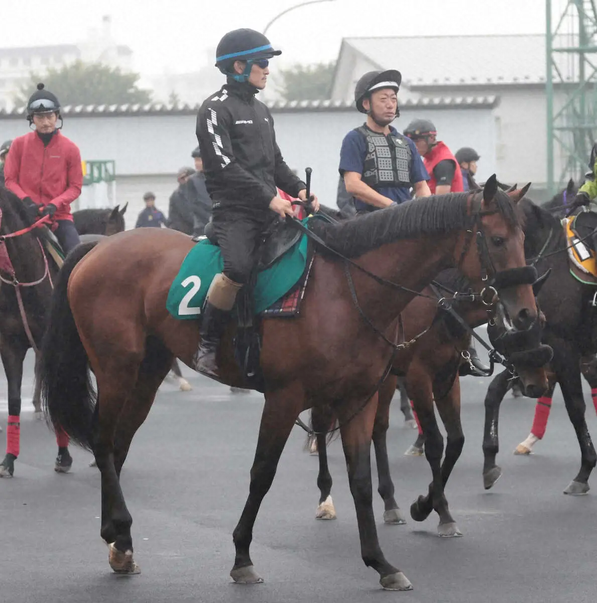 ＜2歳馬調教＞今週デビュー予定のウールデュボヌール（撮影・坂田　高浩）