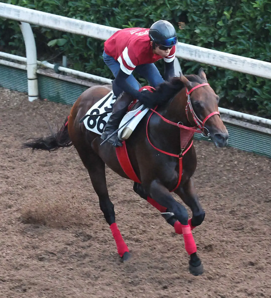 坂路で追い切るデュガ（撮影・亀井直樹）