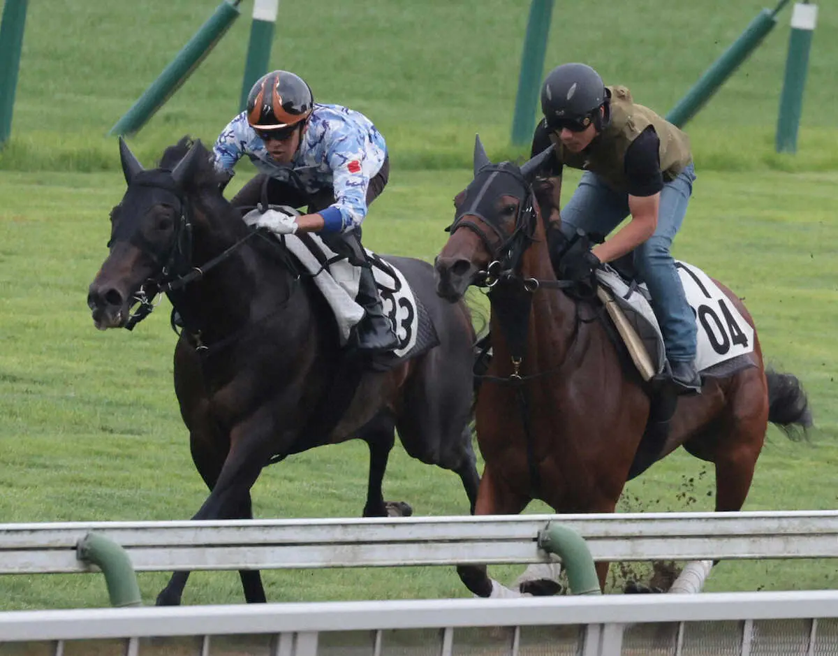 函館芝コースでコーリングユー（手前）と併せたジュビリーヘッド（撮影・坂田　高浩）