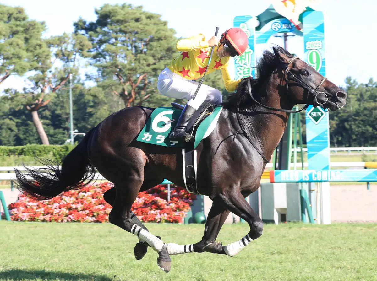 昨年の新潟記念を制したカラテと菅原明
