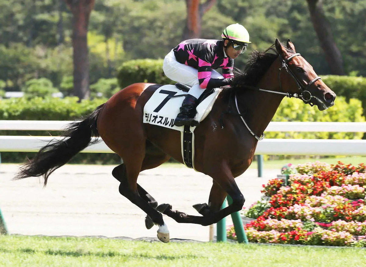 ＜新潟5R・新馬戦＞お見事逃げ切りのテリオスルル（撮影・村上　大輔）