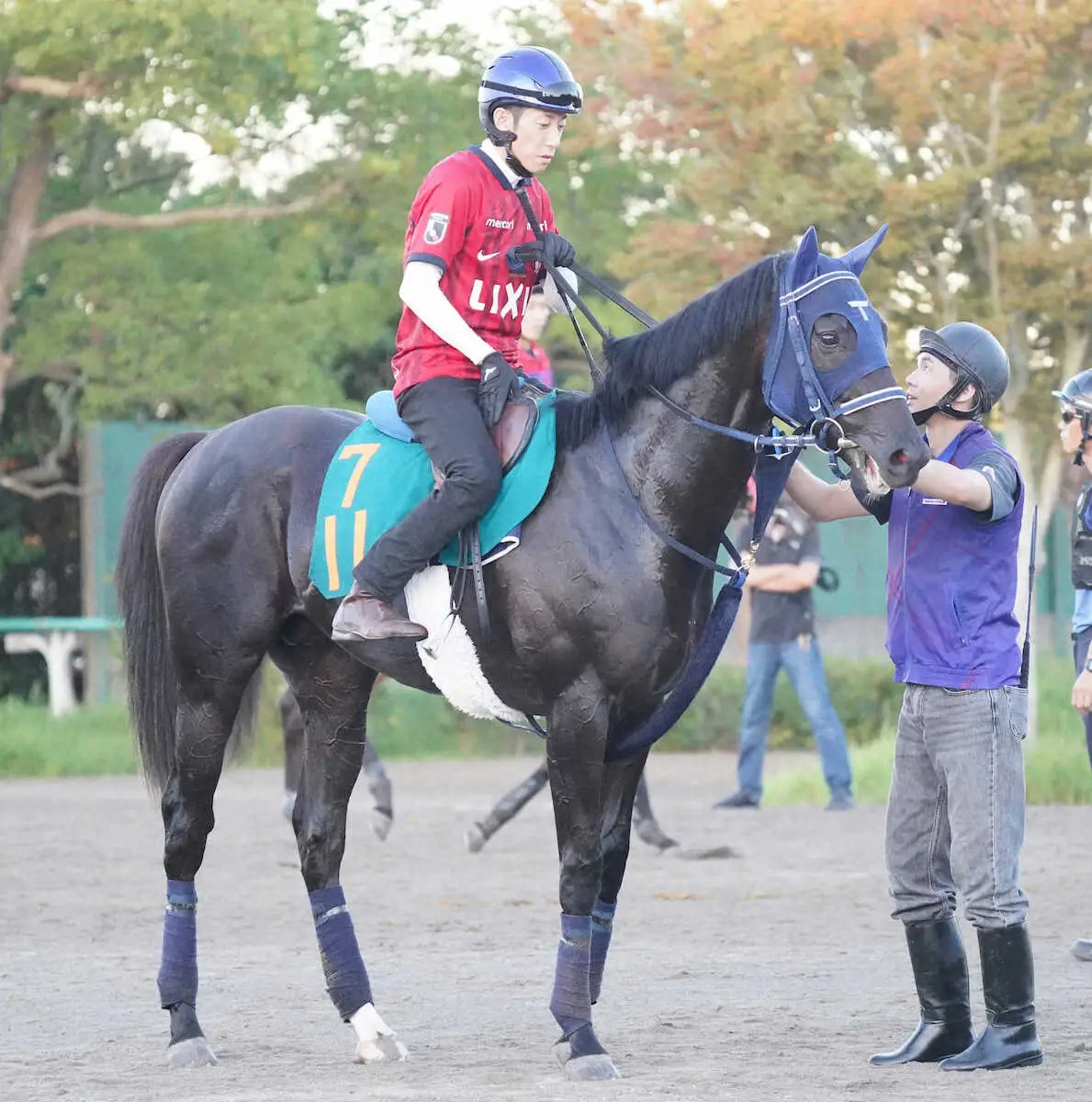 手塚師も絶賛の動きを見せているフォルラニーニ