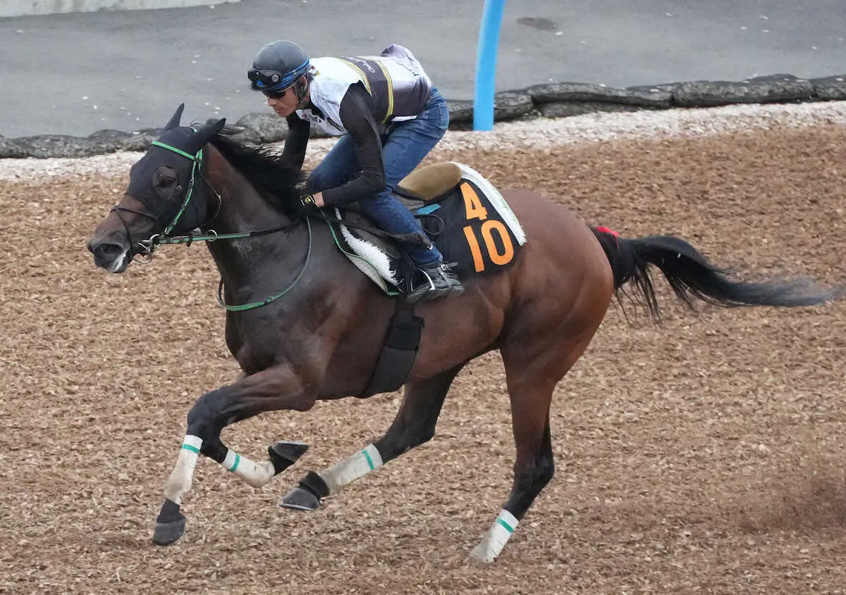 ウッドチップコースで追い切るグランベルナデット（撮影・郡司　修）
