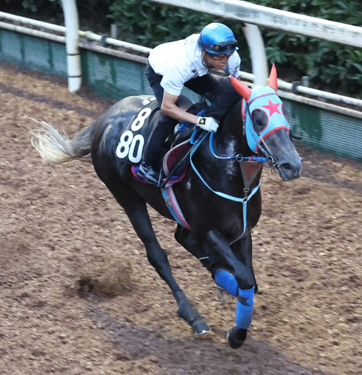 幸を背に坂路で追い切るビッグシーザー（撮影・亀井直樹）