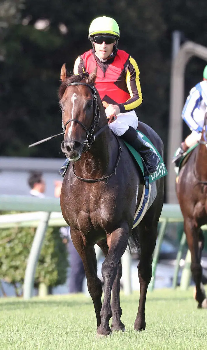 ＜中山11R・京成杯AH＞7着に敗れたインダストリア（撮影・村上　大輔）