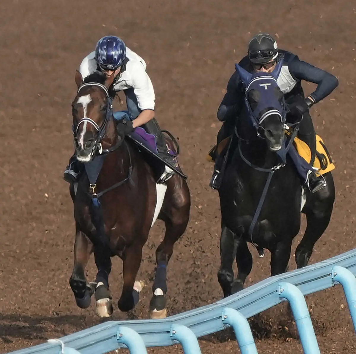 ドゥラモンド（右）と併せて追い切るソールオリエンス（撮影・郡司　修）